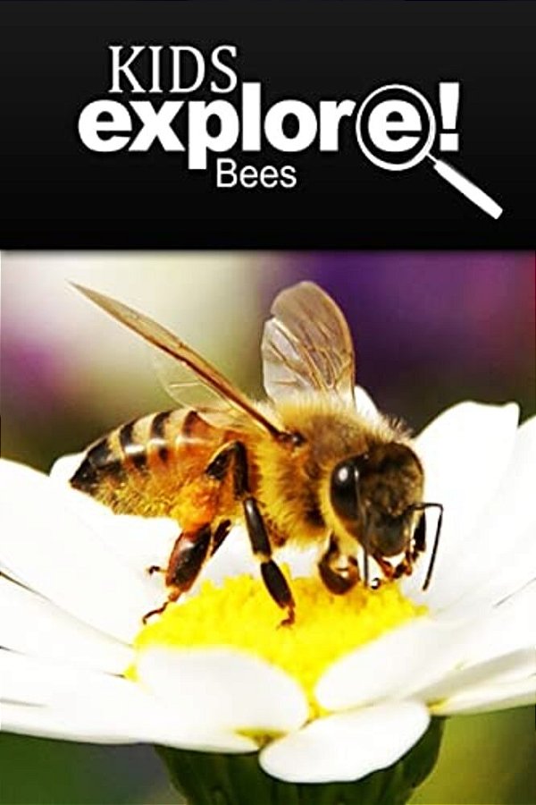 Bees - Kids Explore: Animal Books Nonfiction - Books Ages 5-6-..