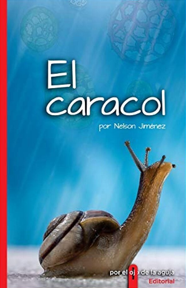 El Caracol-..