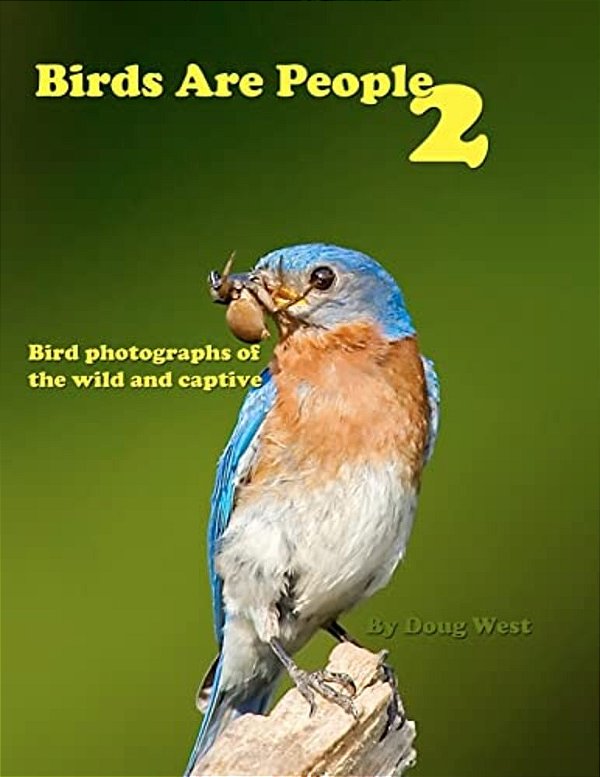 Birds Are People 2-..