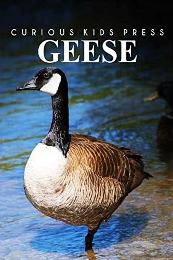 Geese - Curious Kids Press-..