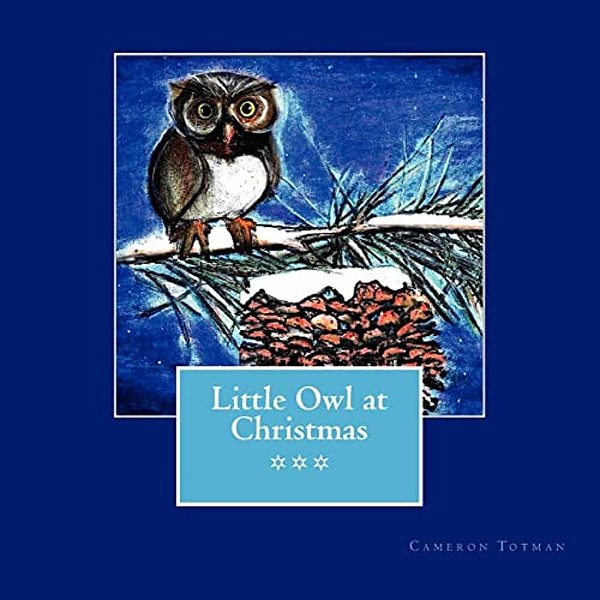 Little Owl At Christmas-..