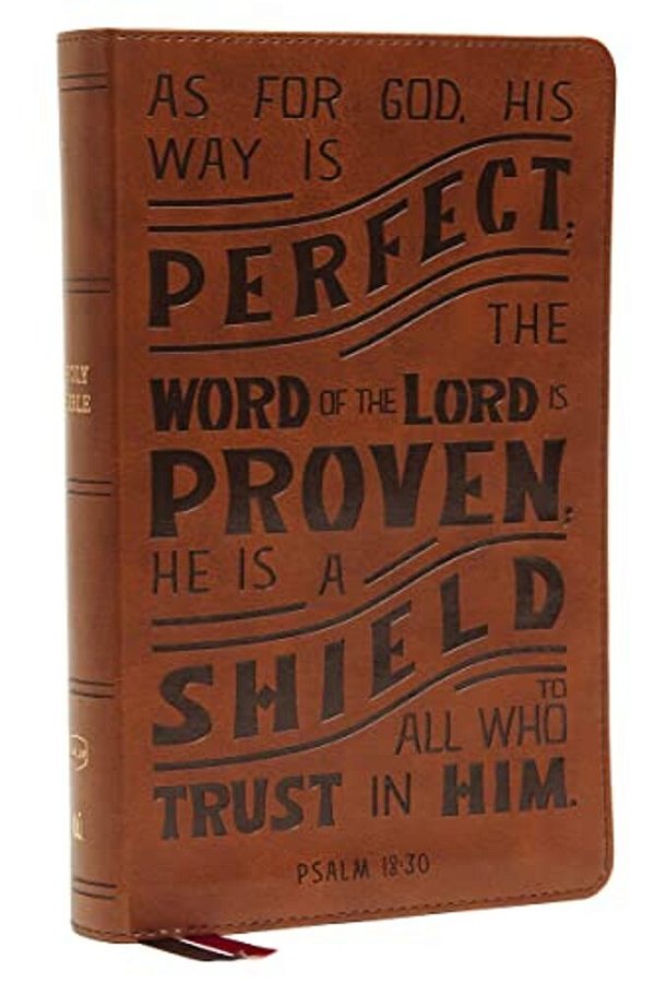 Nkjv, Personal Size Reference Bible, Verse Art Cover Collection, Leathersoft, Tan, Red Letter, Thumb Indexed, Comfort Print: Holy Bible, New King Jame-..