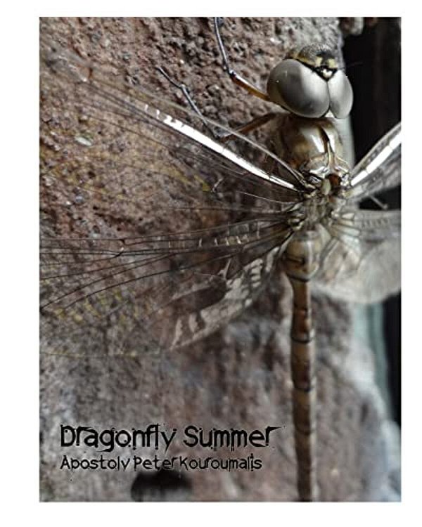 Dragonfly Summer-..