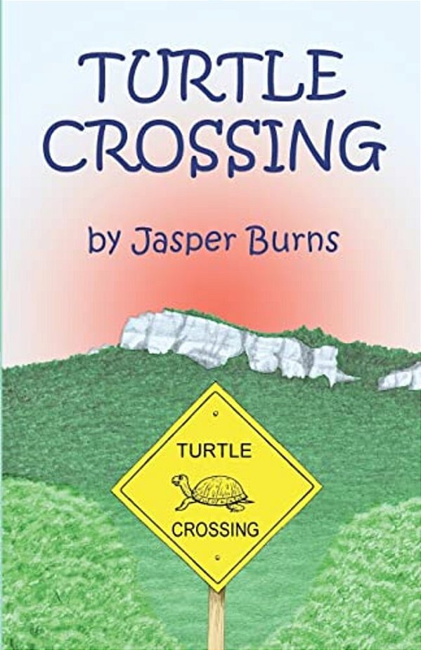 Turtle Crossing-..