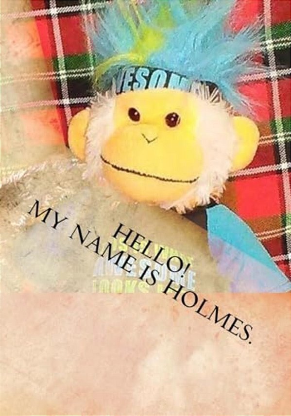 Hello! My Name Is Holmes-..