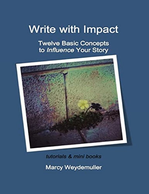 Twelve Basic Concepts To Influence Your Story-..