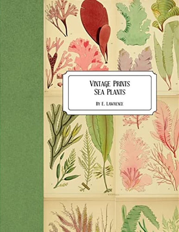 Vintage Prints: Sea Plants-..