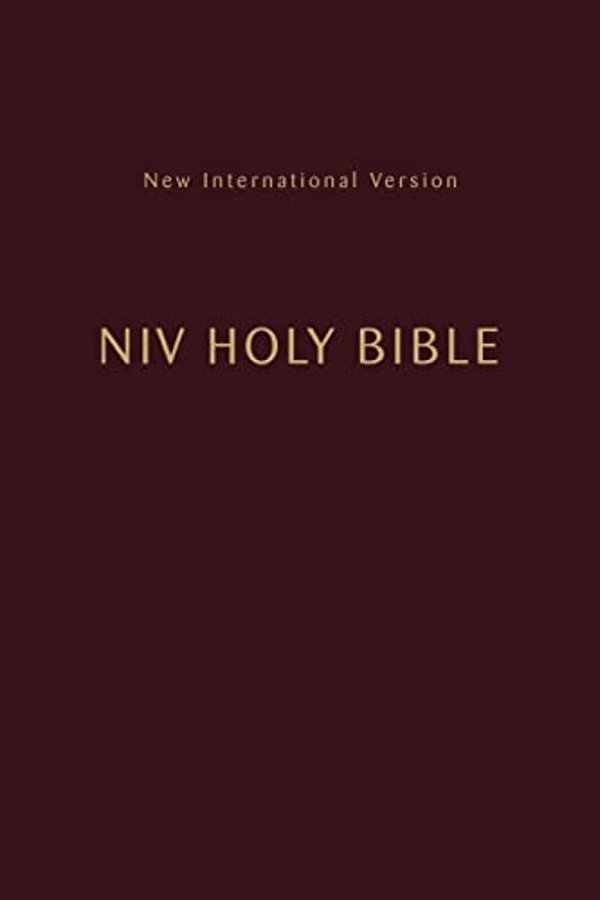 Niv, Holy Bible, Compact, Paperback, Burgundy, Comfort Print-..