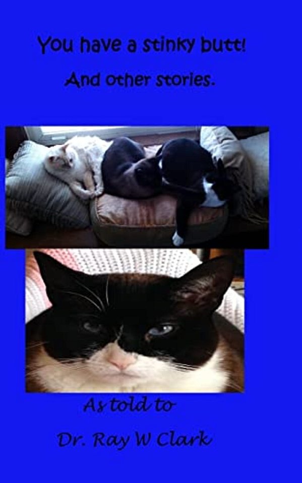 You Have A Stinky Butt!-..