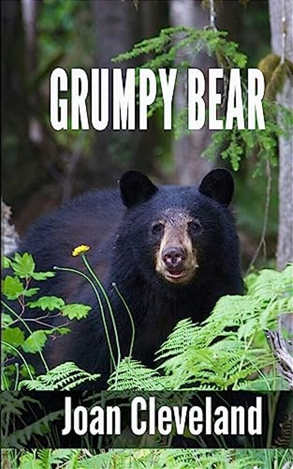 Grumpy Bear-..
