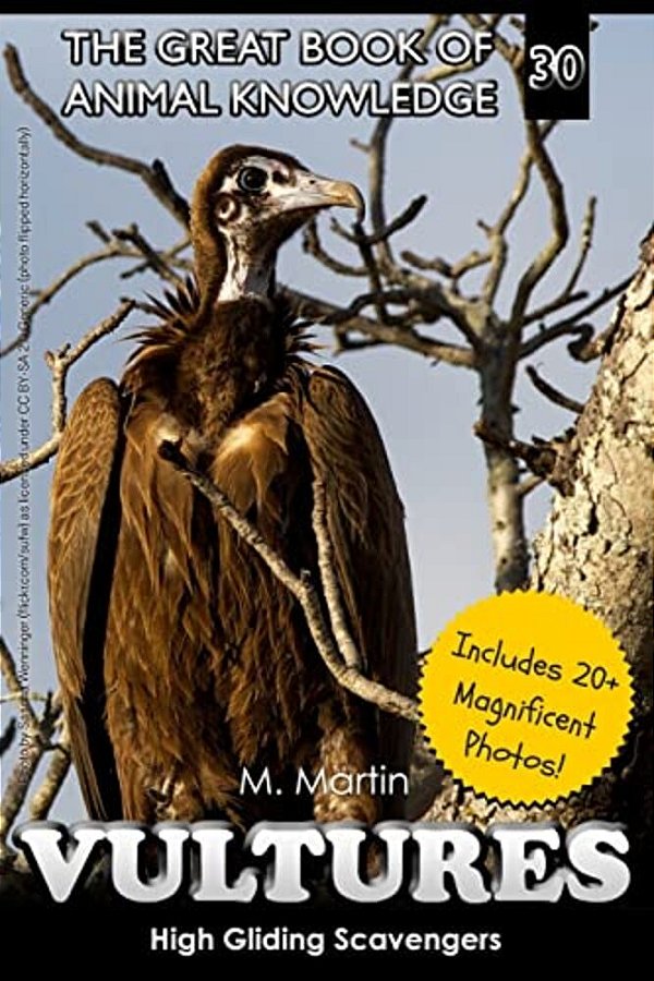 Vultures: High Gliding Scavengers-..