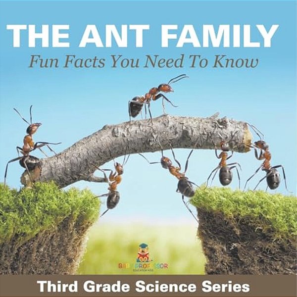 The Ant Family - Fun Facts You Need To Know: Third Grade Science Series-..