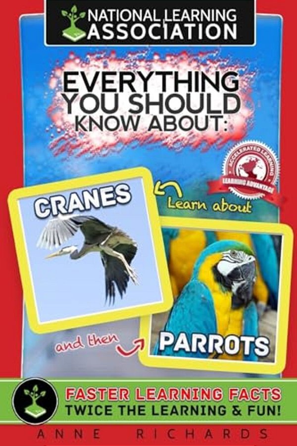 Everything You Should Know About Cranes And Parrots-..