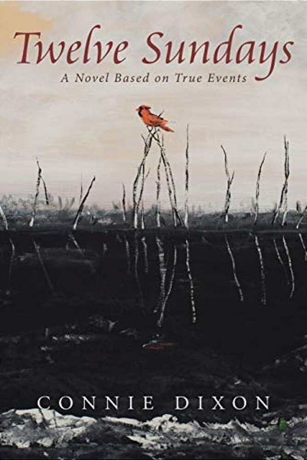 Twelve Sundays: A Novel Based On True Events-..