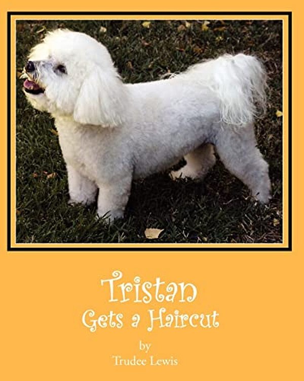 Tristan Gets A Haircut: A Tristan And Trudee Story-..