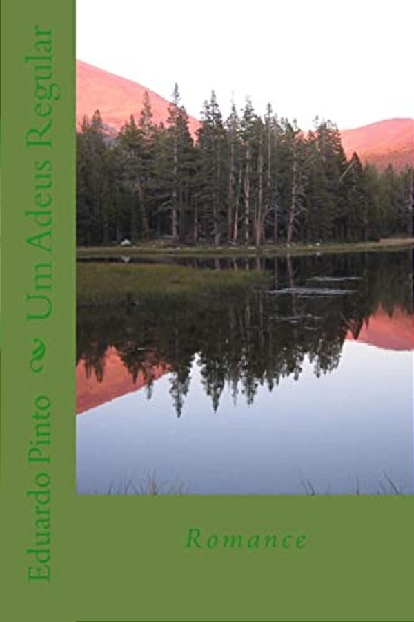 Um Adeus Regular: Romance-..
