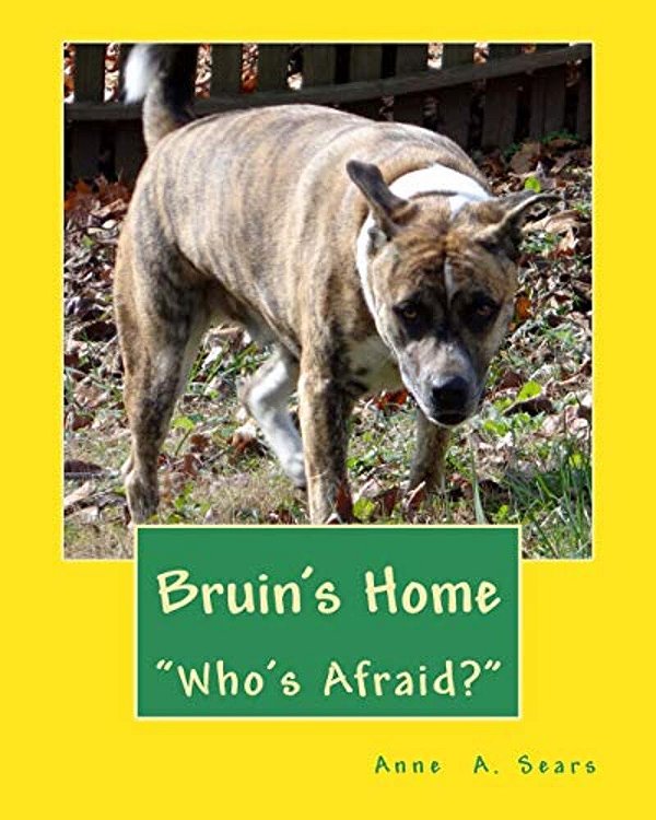 Bruin's Home (Book 1): Adjustments-..