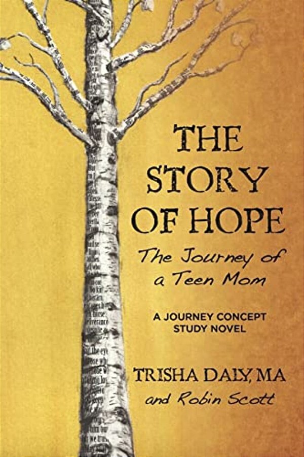 The Story Of Hope: The Journey Of A Teen Mom: A Journey Concept Study Novel-..