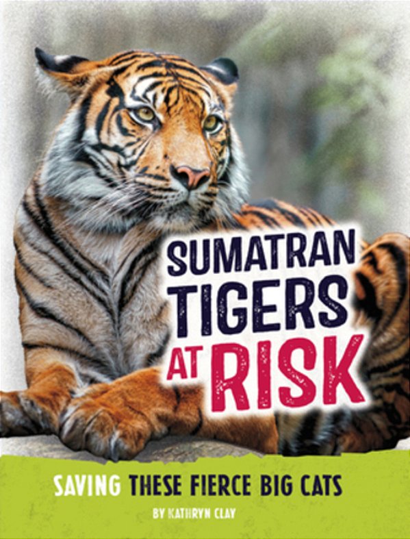 Sumatran Tigers At Risk: Saving These Fierce Big Cats-..
