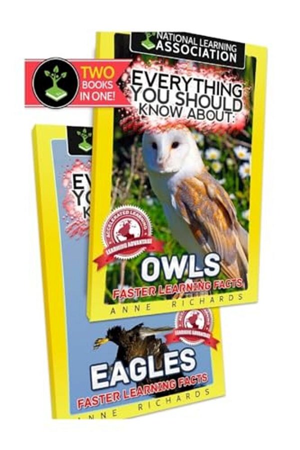 Everything You Should Know About: Owls And Eagles-..