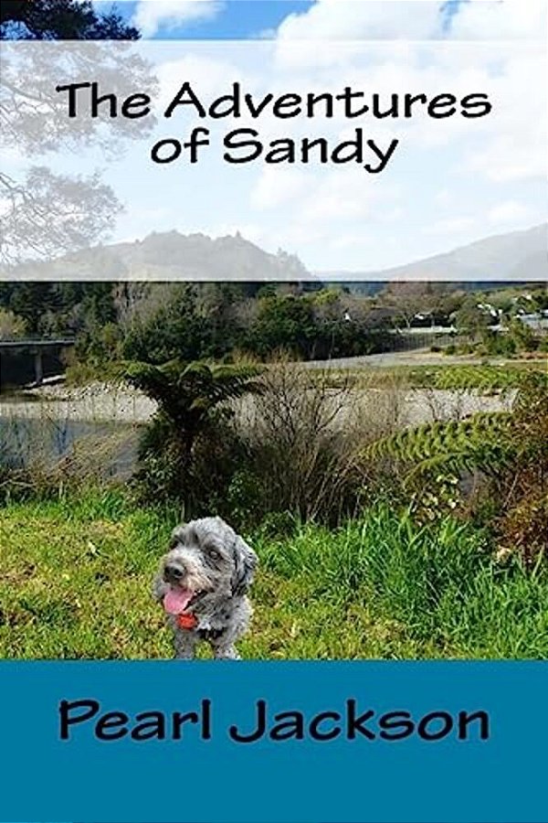 The Adventures Of Sandy-..