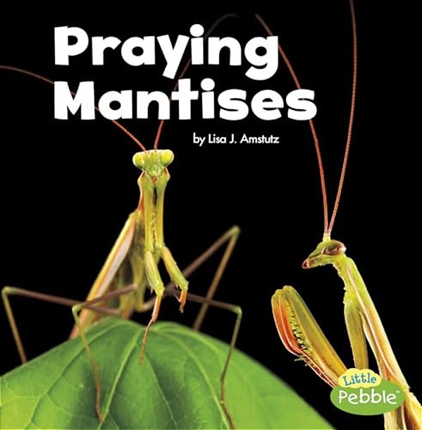 Praying Mantises-..