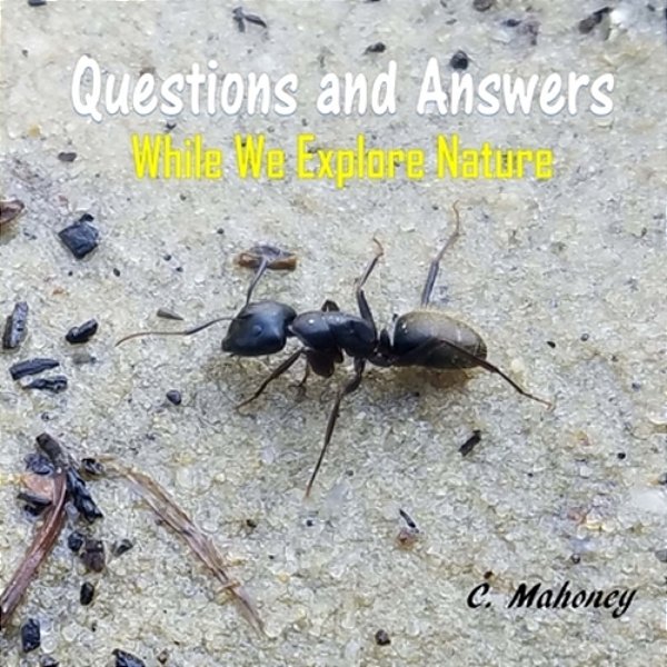Questions And Answers While We Explore Nature-..