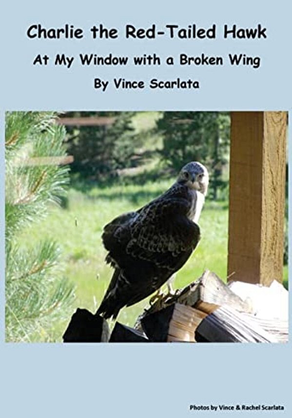 Charlie The Red-Tailed Hawk: At My Window With A Broken Wing-..