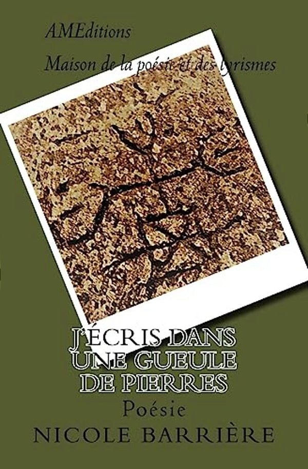 J'Écris Dans Une Gueule De Pierres-..