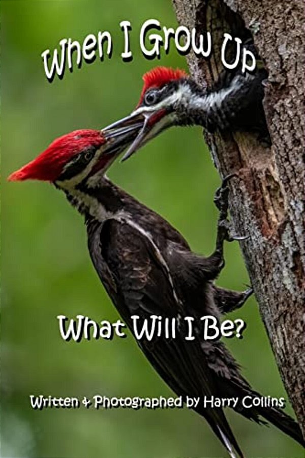 When I Grow Up What Will I Be?-..