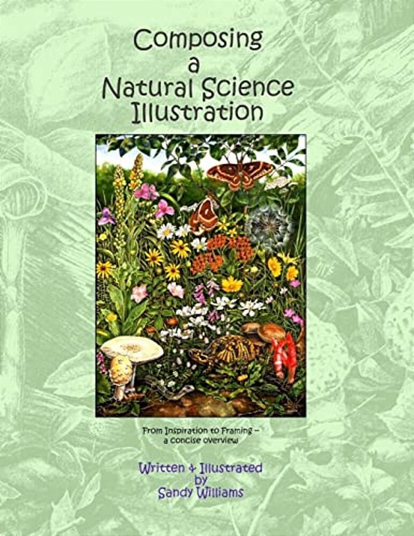 Composing A Natural Science Illustration: From Inspiration To Framing-..