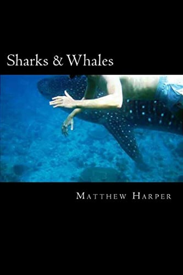 Sharks & Whales: A Fascinating Book Containing Shark & Whale Facts, Trivia, Images & Memory Recall Quiz: Suitable For Adults & Children-..
