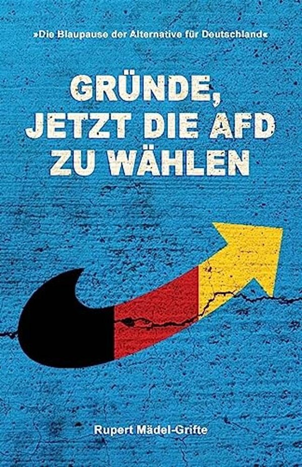 Gründe, Jetzt Die Afd Zu Wählen: Entscheidungshilfe Für Deutsche Wähler-..