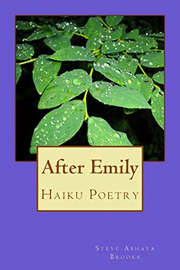 After Emily: Poetry By Steve Abhaya Brooks-..