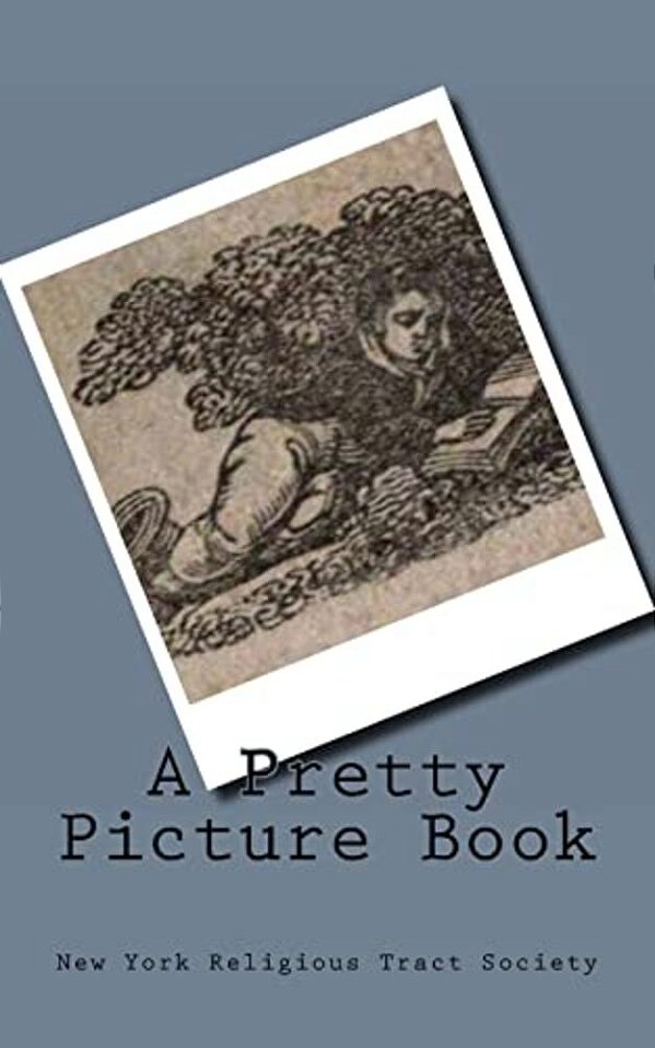 A Pretty Picture Book-..
