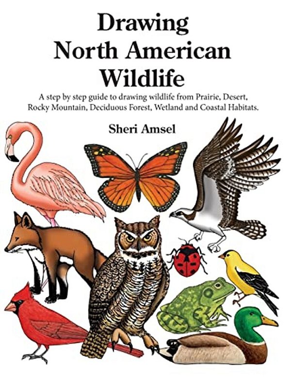 Drawing North American Wildlife: A Step By Step Guide To Drawing Wildlife From Prairie, Desert, Rocky Mountain, Deciduous Forest, Wetland And Coastal-..