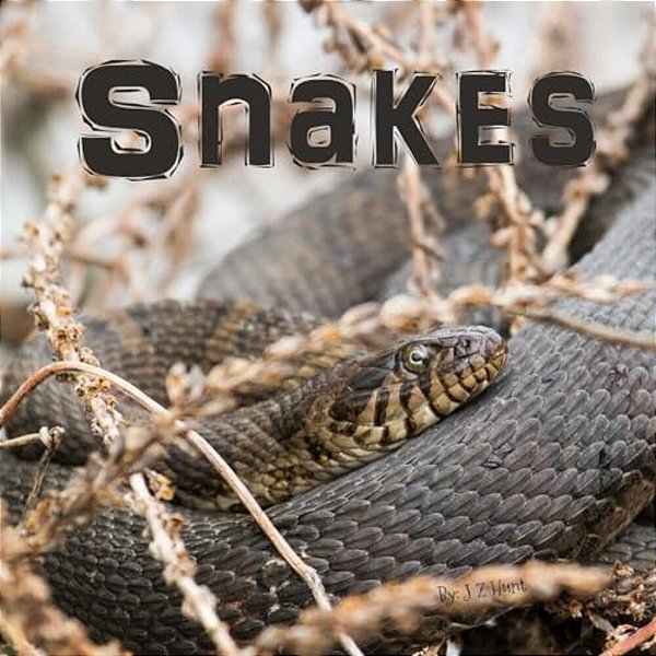 Snakes-..