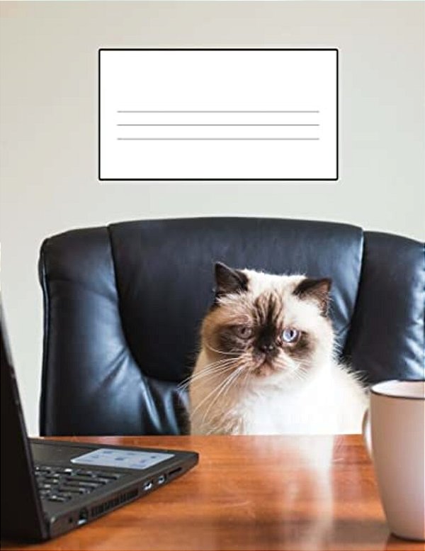 Cats Story Paper Book - Cat Lovers Unite: Story Paper Book-..