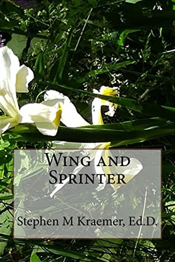 Wing And Sprinter-..