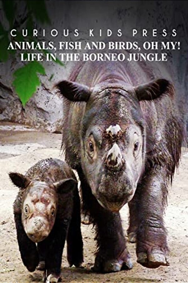 Animals, Fish And Birds, Oh My! Life In The Borneo Jungle - Curious Kids Press: Kids Book About Animals And Wildlife, Children's Books 4-6-..