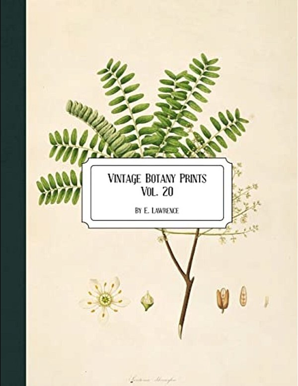 Vintage Botany Prints: Vol. 20-..