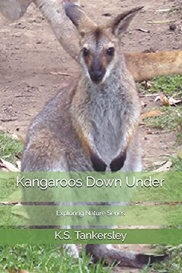 Kangaroos Down Under-..