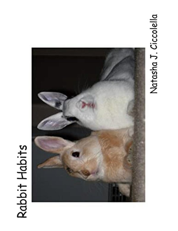 Rabbit Habits-..