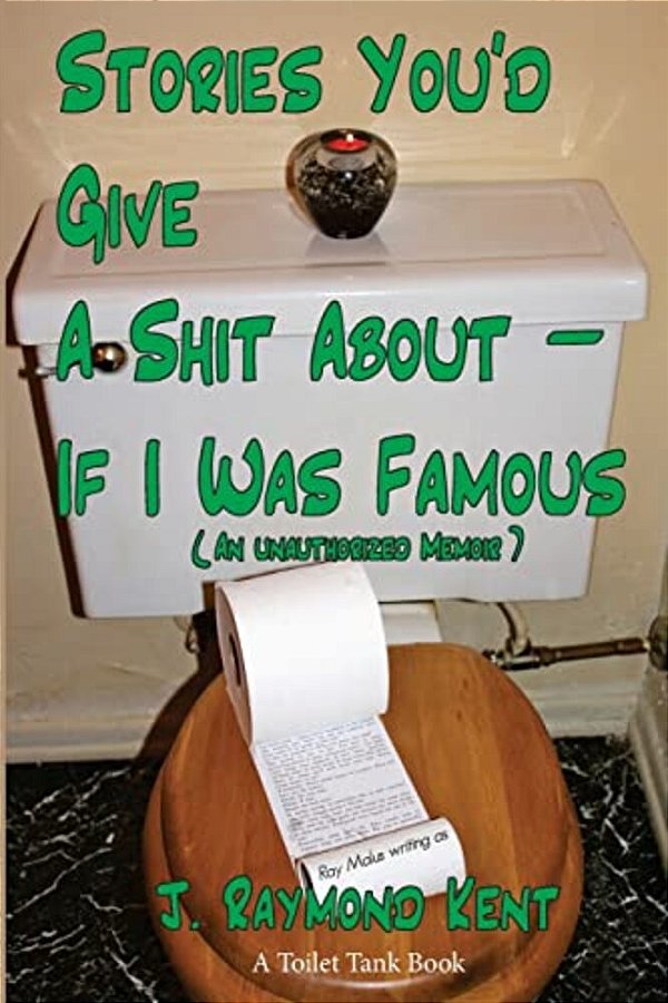 Stories You'd Give A Shit About -- If I Was Famous: An Unauthorized Memoir-..