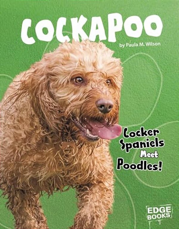 Cockapoo: Cocker Spaniels Meet Poodles!-..