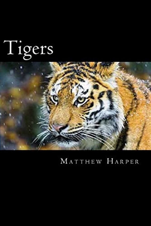 Tigers: A Fascinating Book Containing Tiger Facts, Trivia, Images & Memory Recall Quiz: Suitable For Adults & Children-..