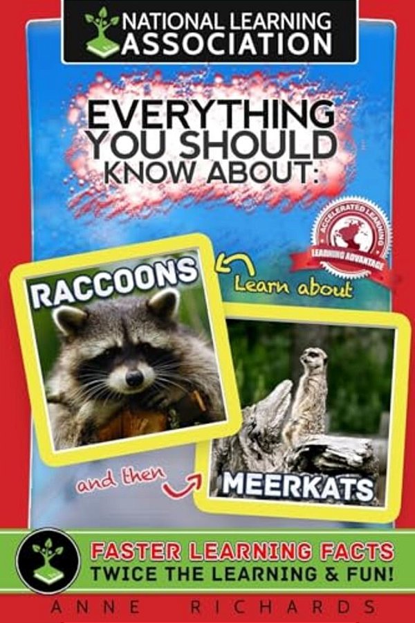 Everything You Should Know About Raccoons And Meerkats-..