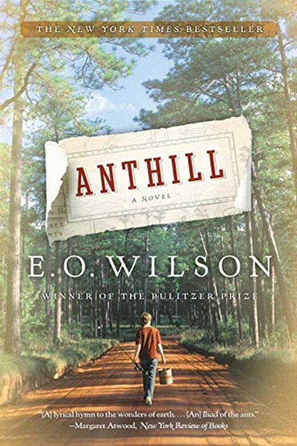 Anthill-..