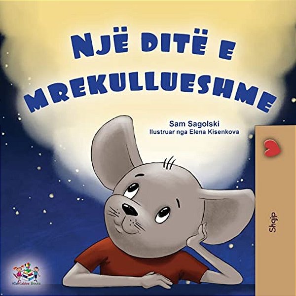 A Wonderful Day (Albanian Book For Kids)-..