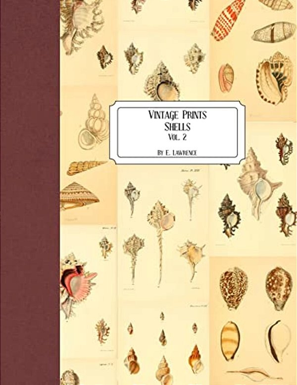Vintage Prints: Shells: Vol. 2-..